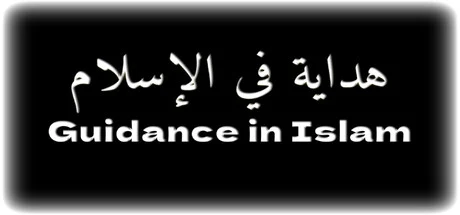 Guidance in Islam cover art