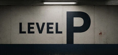 Level P cover art